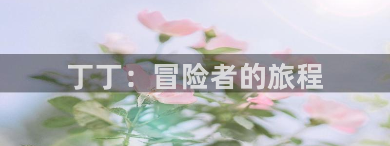 羞羞漫画免费无遮挡：丁丁：冒险者的旅程