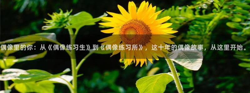 羞羞漫画首页官网
