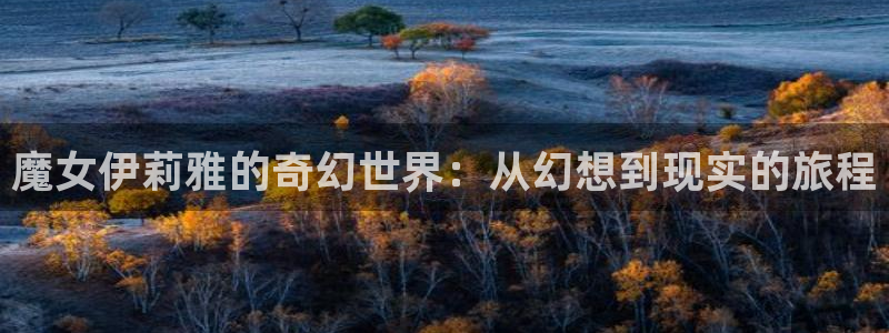 羞羞漫画主页进入：魔女伊莉雅的奇幻世界：从幻想到现实的旅程