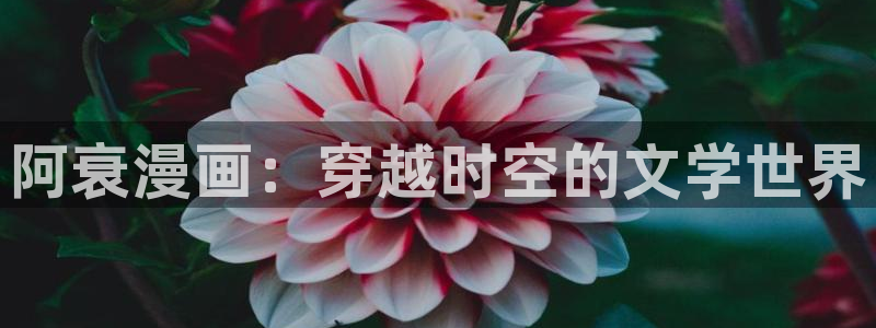完美作业网羞羞漫画：阿衰漫画：穿越时空的文学世界