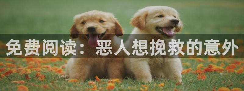 羞羞漫画最新章节：免费阅读：恶人想挽救的意外