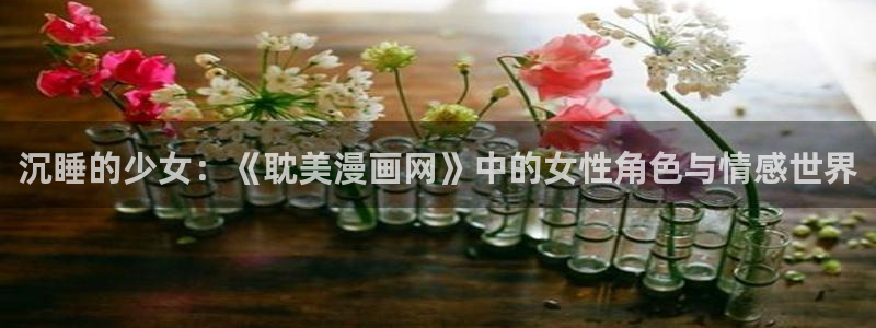 羞羞漫画火影忍者同人：沉睡的少女：《耽美漫画网》中的女性角色与情感世界