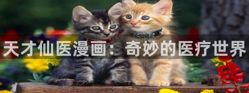 18禁啪啪羞羞漫画：天才仙医漫画：奇妙的医疗世界