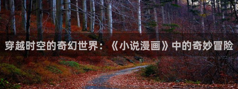 羞羞漫画_专为成年人的漫画_羞羞漫画：穿越时空的奇幻世界：《小说漫画》中的奇妙冒险