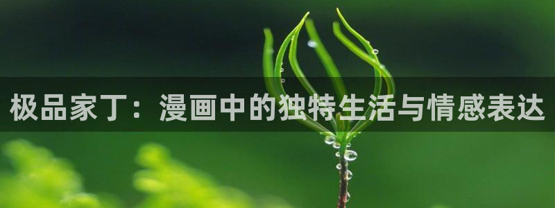 邪恶羞羞漫画：极品家丁：漫画中的独特生活与情感表达