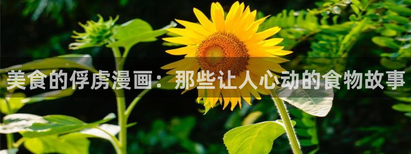 羞羞漫画360：美食的俘虏漫画：那些让人心动的食物故事