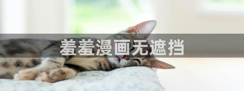 羞羞漫画av漫画歪歪漫画：羞羞漫画无遮挡