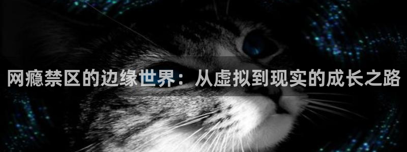 羞羞漫画在线?：网瘾禁区的边缘世界：从虚拟到现实的成长之路
