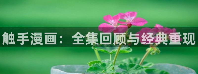 新版羞羞漫画：触手漫画：全集回顾与经典重现